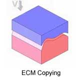 ECM_Copying